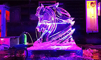 Wunderschöne Eisskulptur in buntem Licht kunstvoll gestaltet und in Szene gesetzt